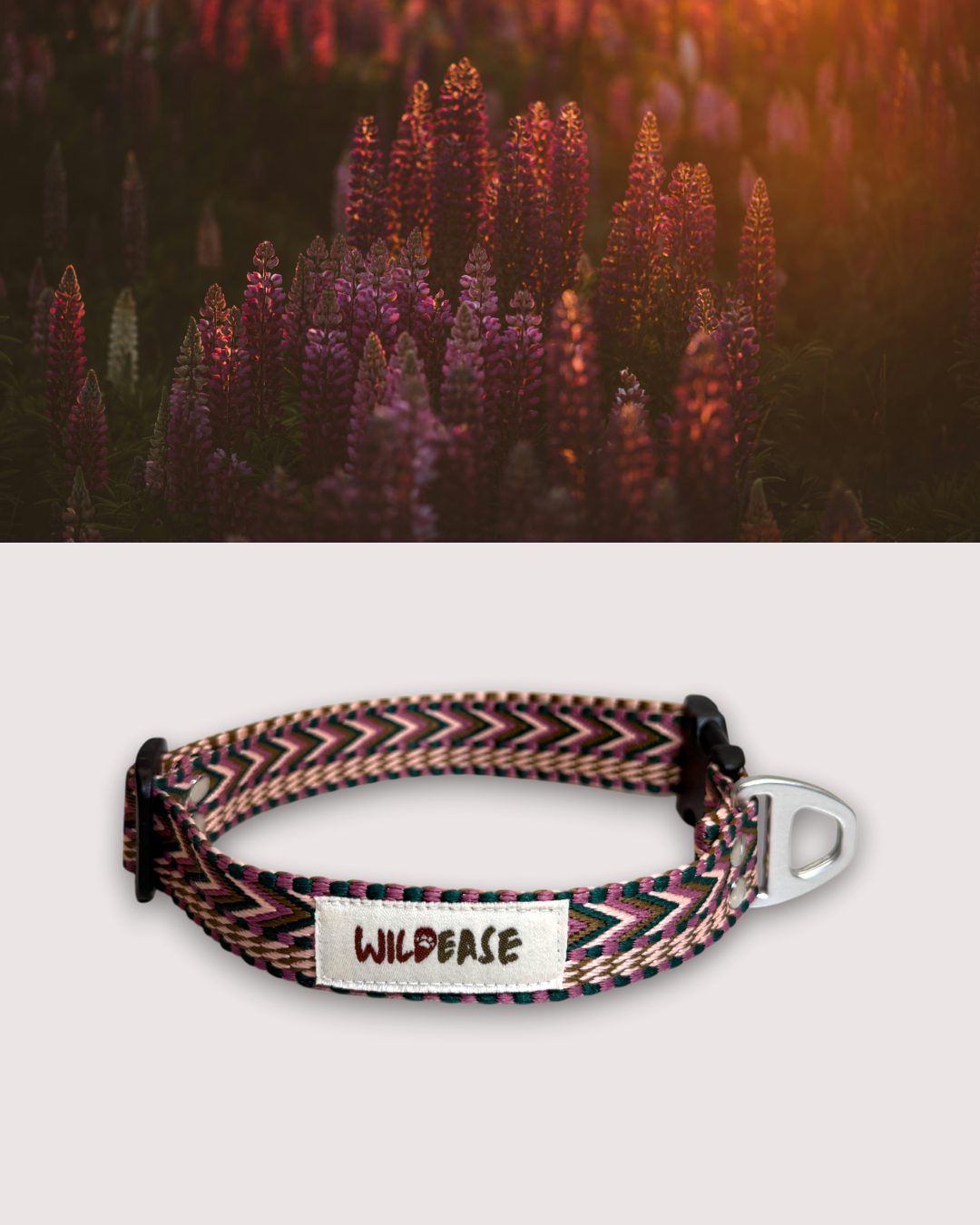 Plum Dusk - Handmade Lightweight Dog Collar