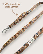 Canyon Glow - Handmade Lightweight Dog Leash