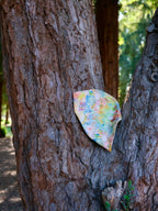 Picnic Dreams - Cotton Dog Bandana