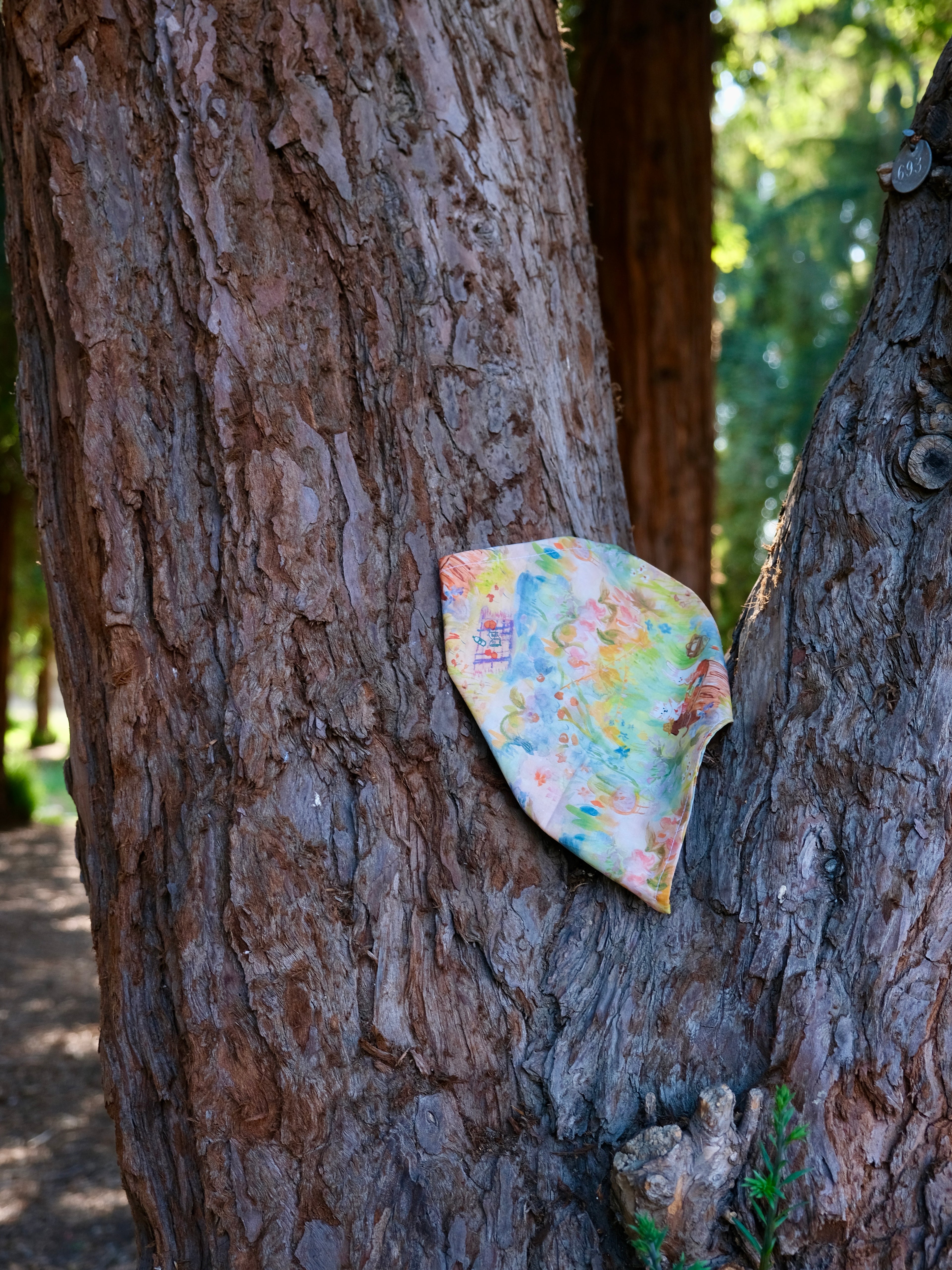 Picnic Dreams - Cotton Dog Bandana