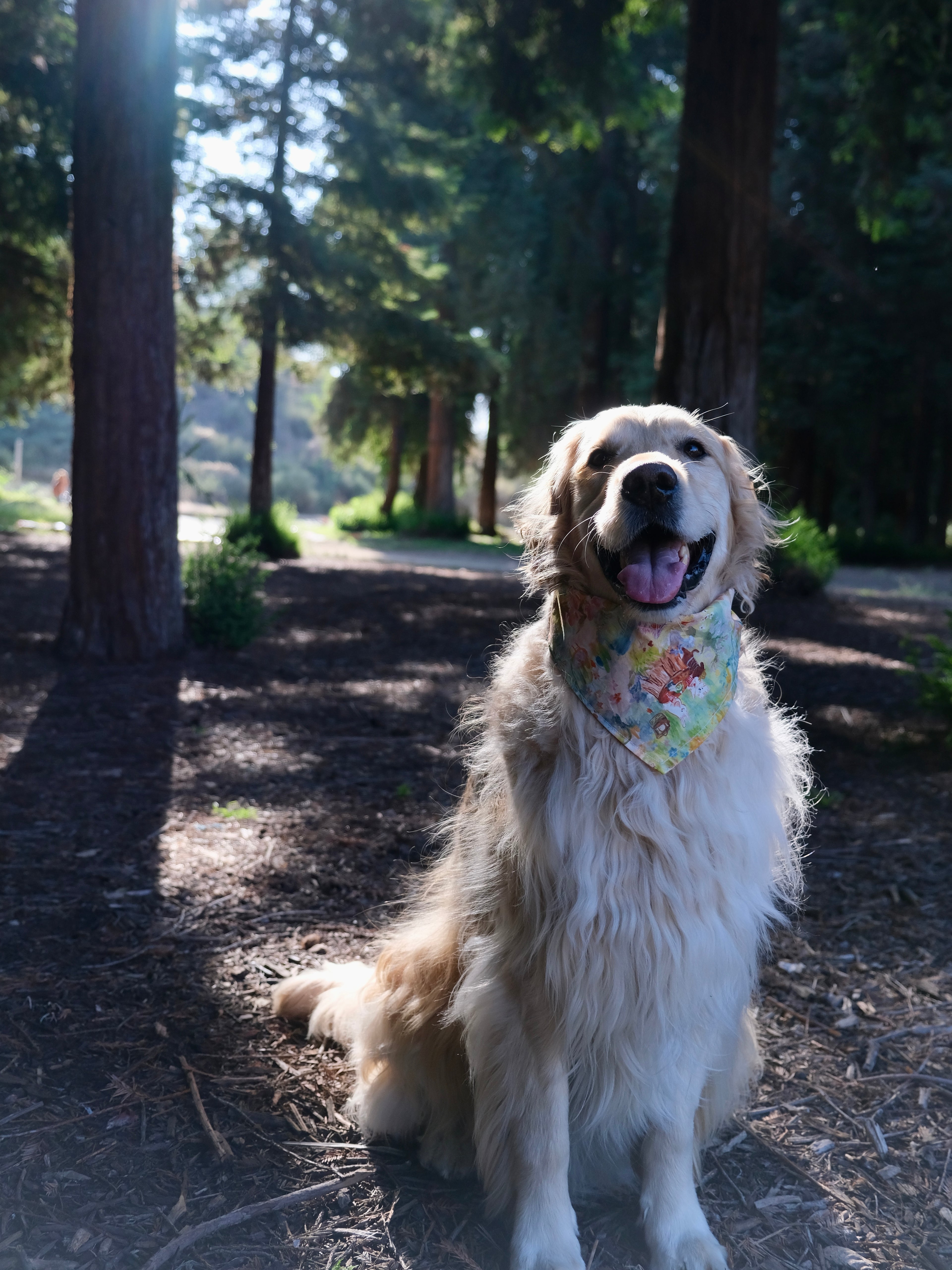 Picnic Dreams - Cotton Dog Bandana