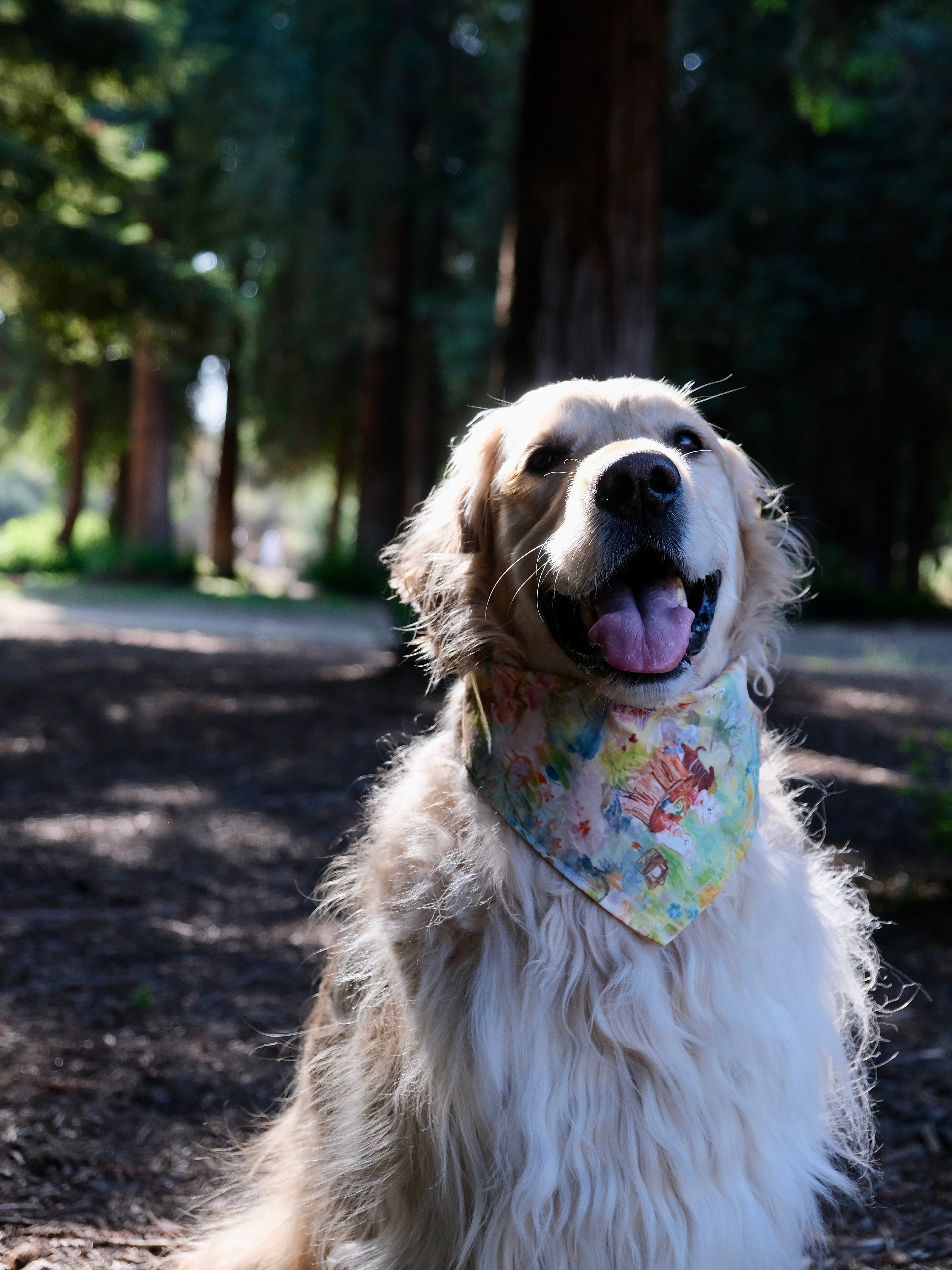Picnic Dreams - Cotton Dog Bandana