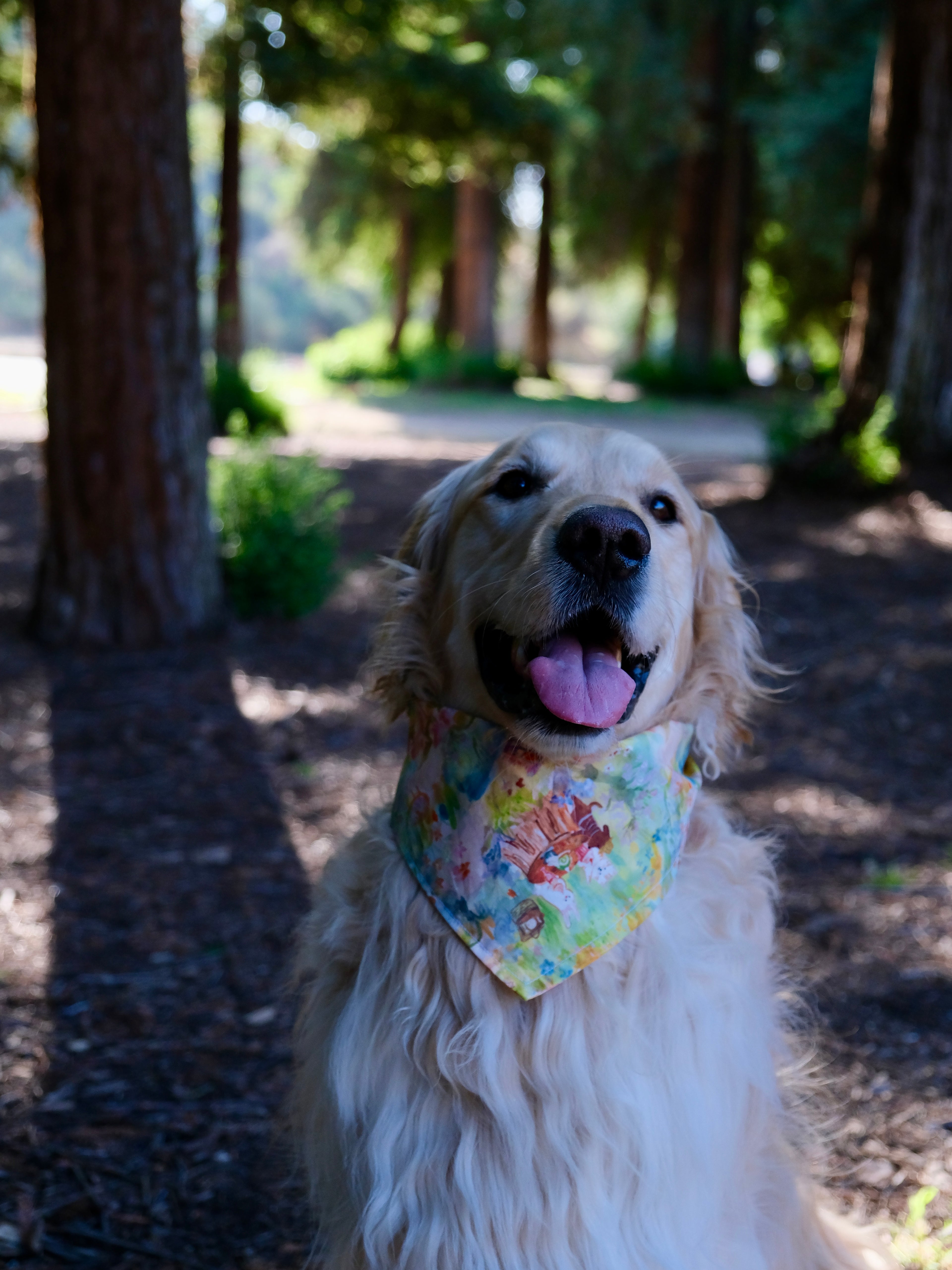 Picnic Dreams - Cotton Dog Bandana