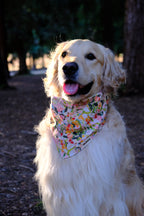 Summer Meadow - Cotton Dog Bandana