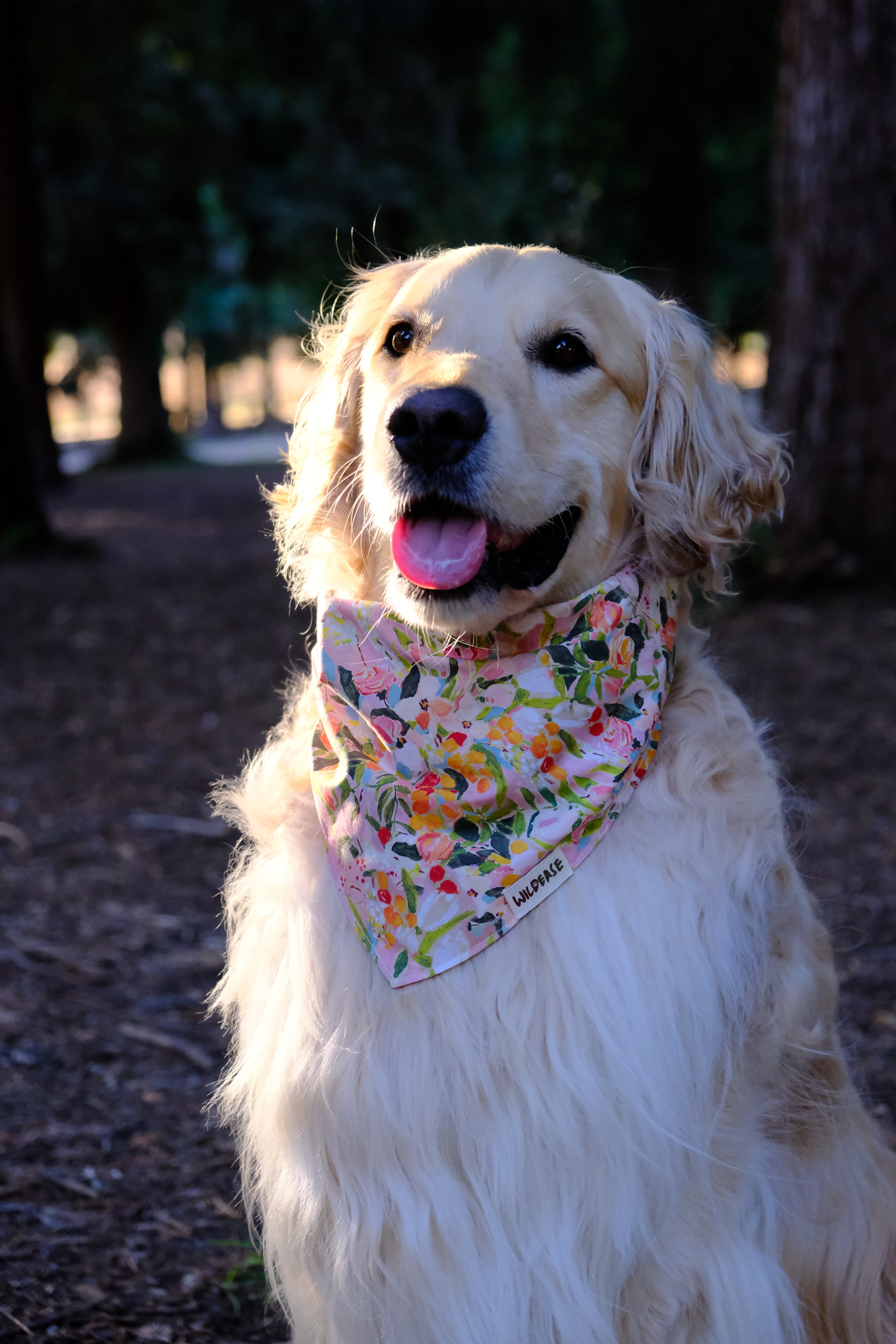 Summer Meadow - Cotton Dog Bandana