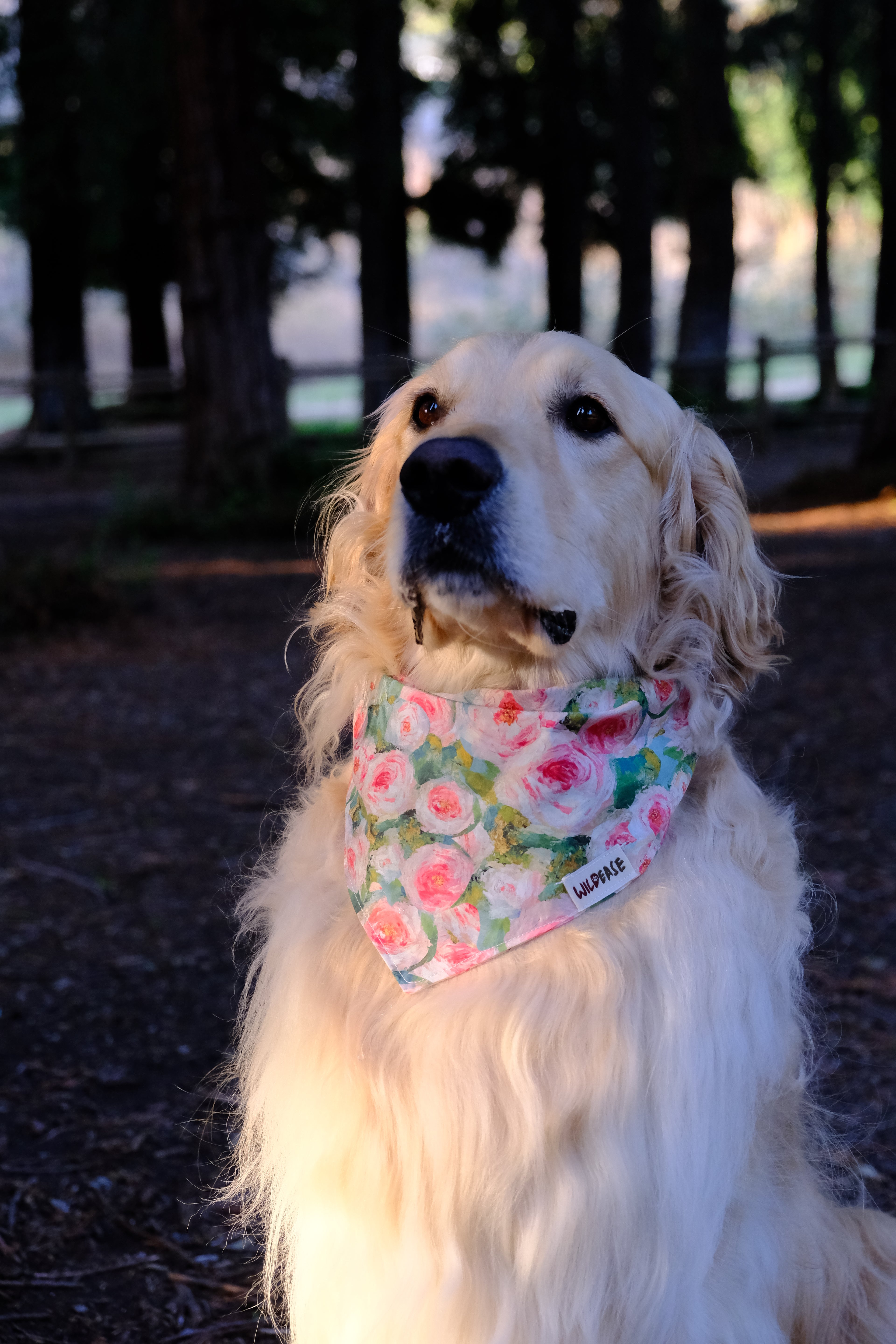 Blush Garden - Cotton Dog Bandana