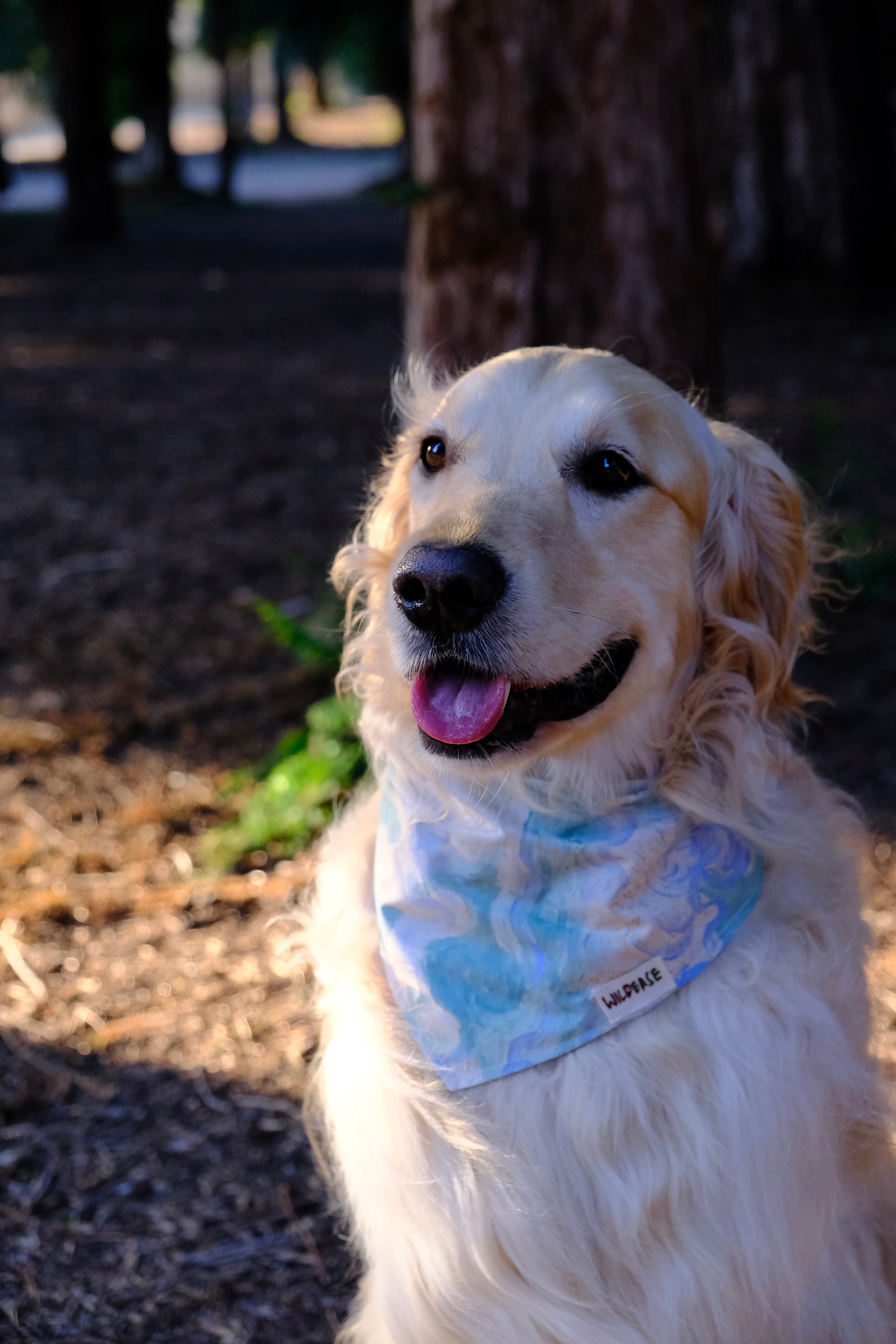 Cloud Lake - Cotton Dog Bandana