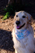 Cloud Lake - Cotton Dog Bandana