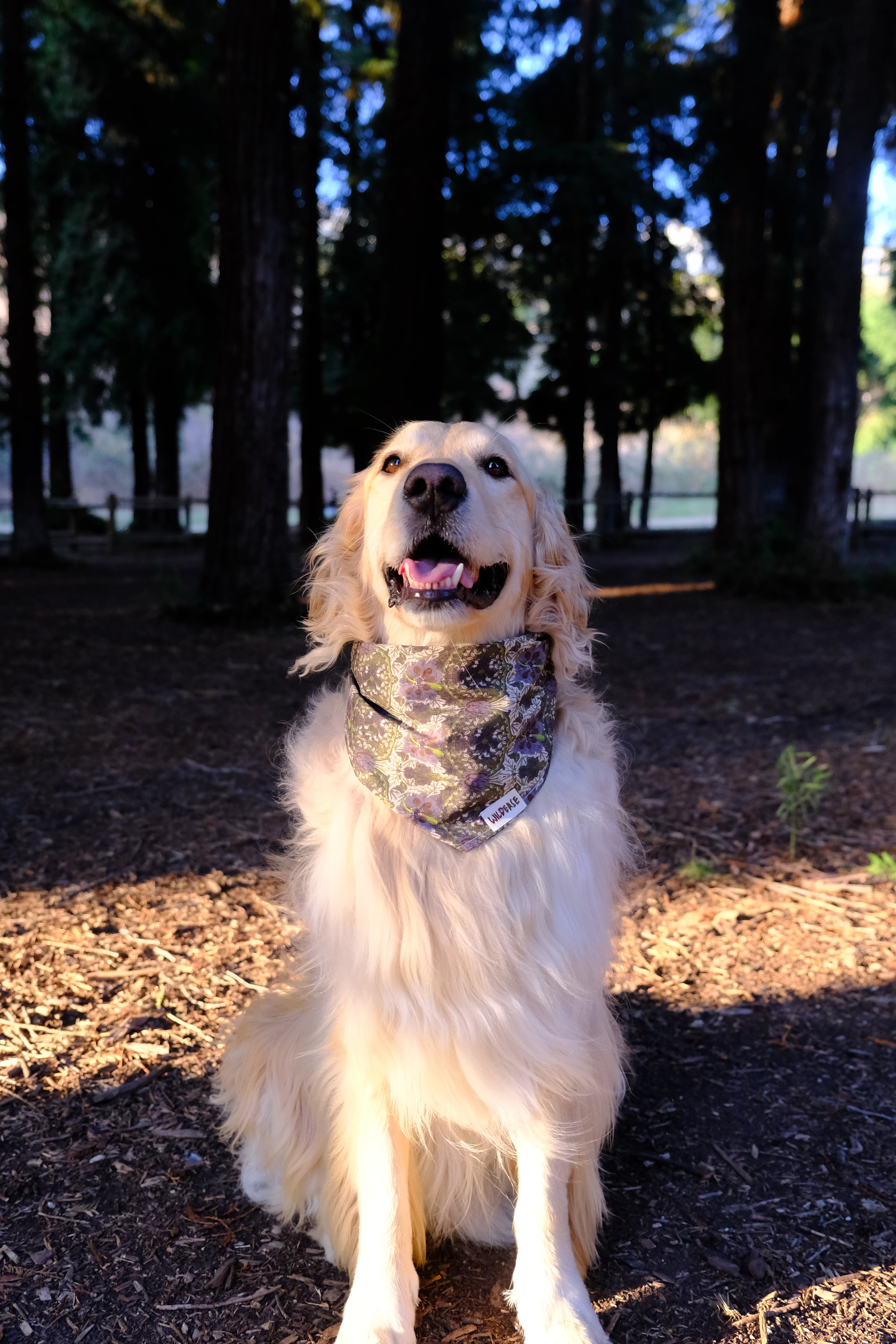 Woodland Moss - Cotton Dog Bandana