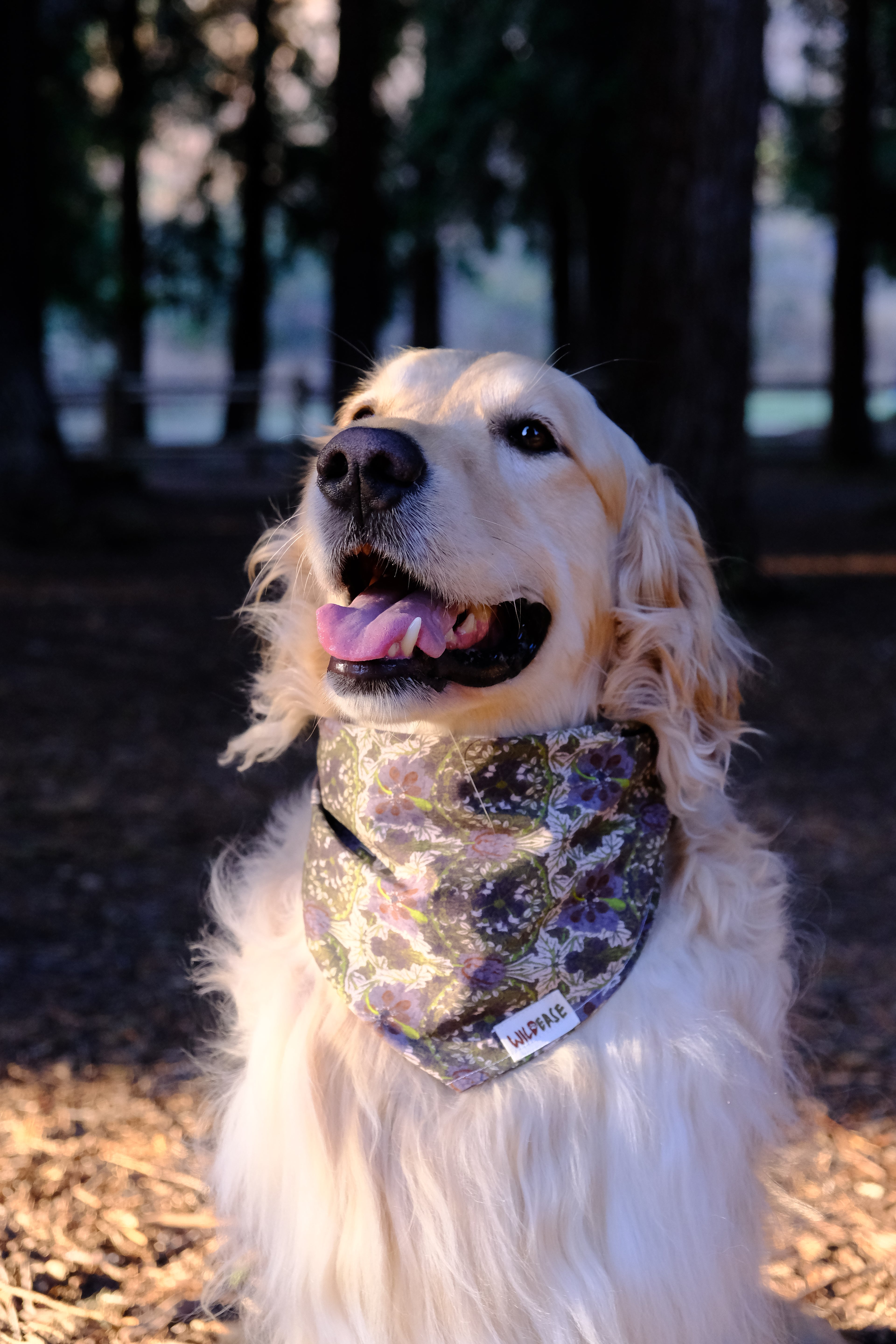 Woodland Moss - Cotton Dog Bandana