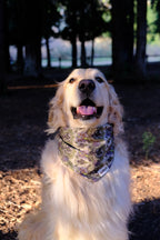 Woodland Moss - Cotton Dog Bandana