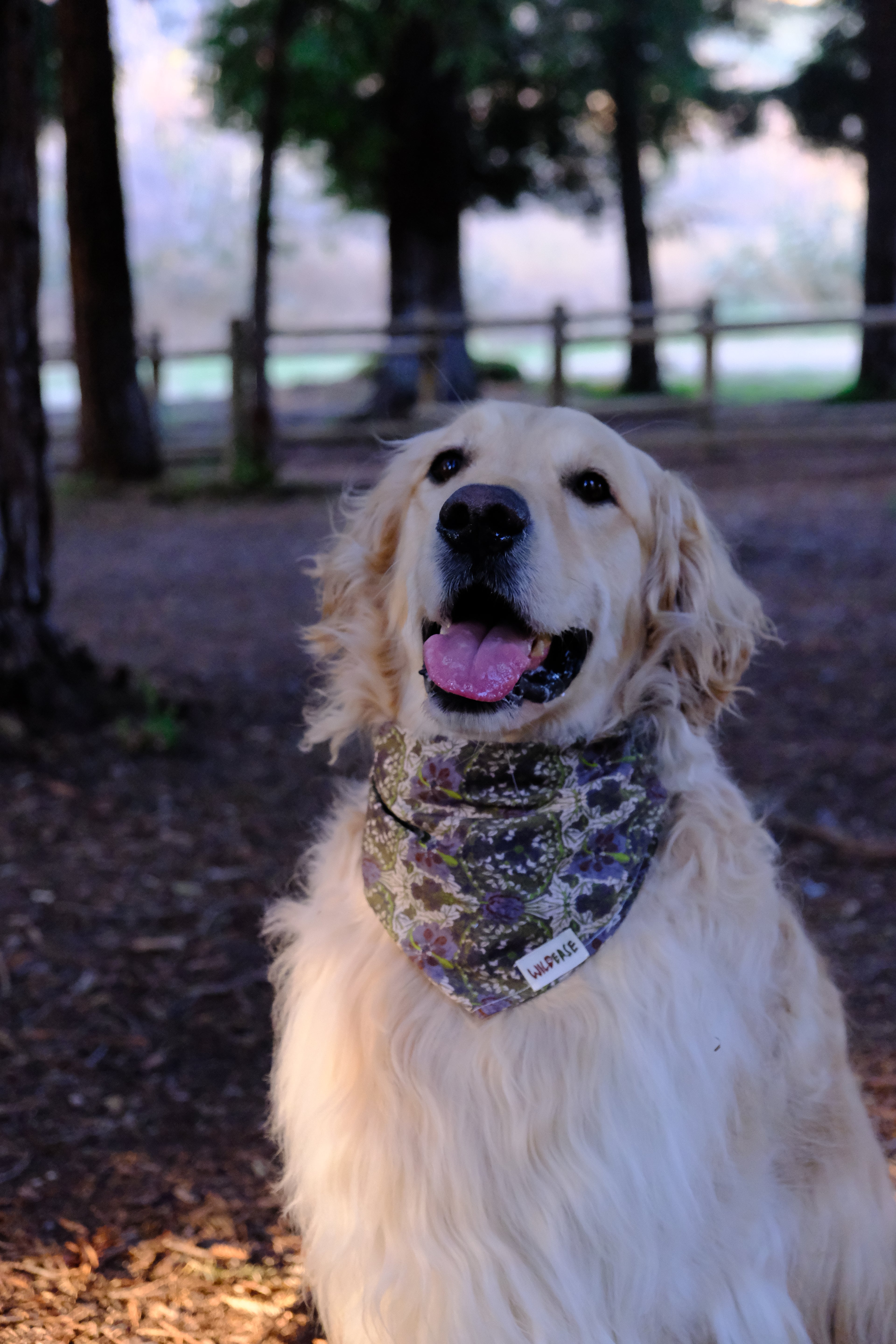 Woodland Moss - Cotton Dog Bandana