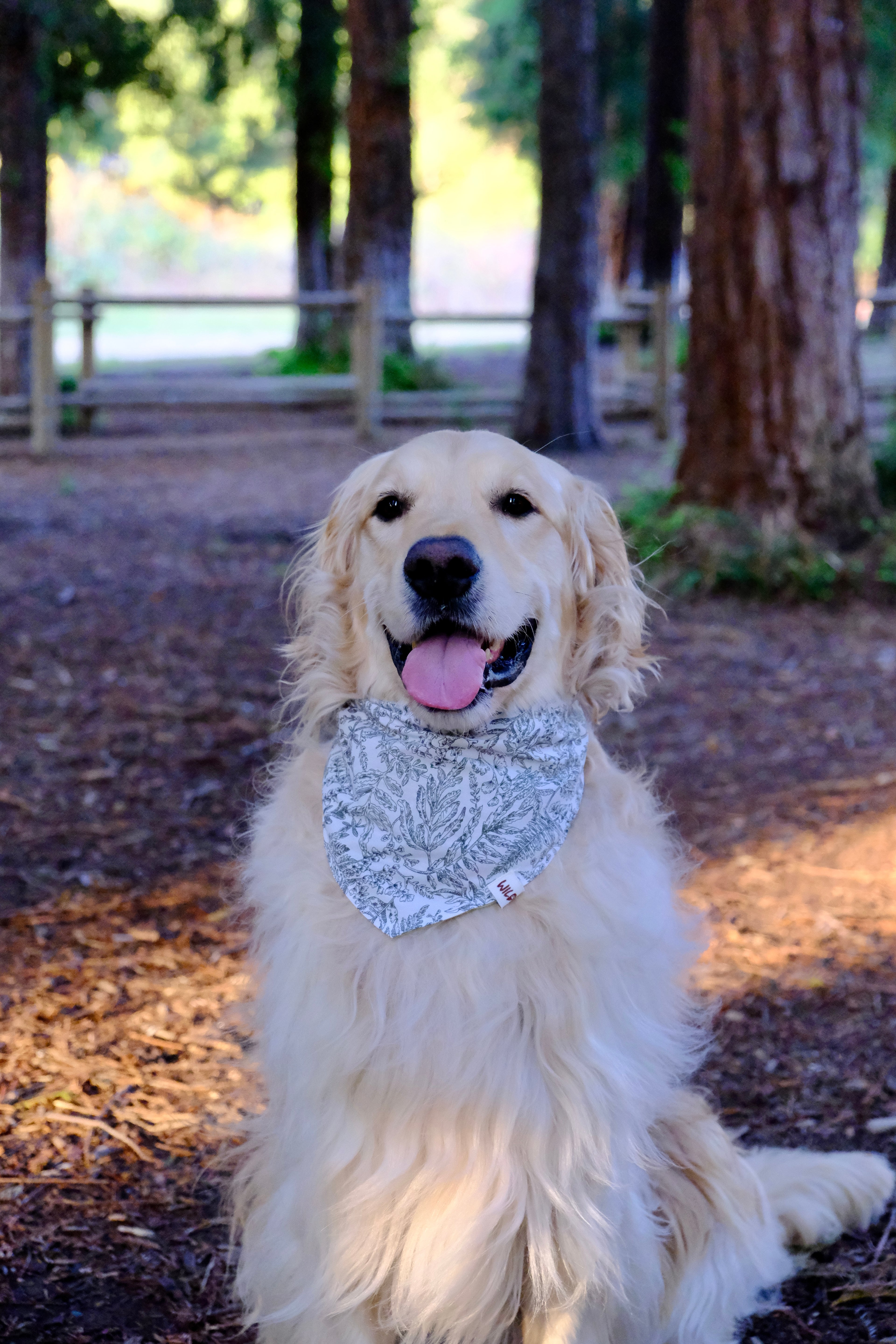 Olive & Coral - Reversible Cotton Dog Bandana