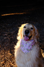 Purple Blossom - Cotton Dog Bandana