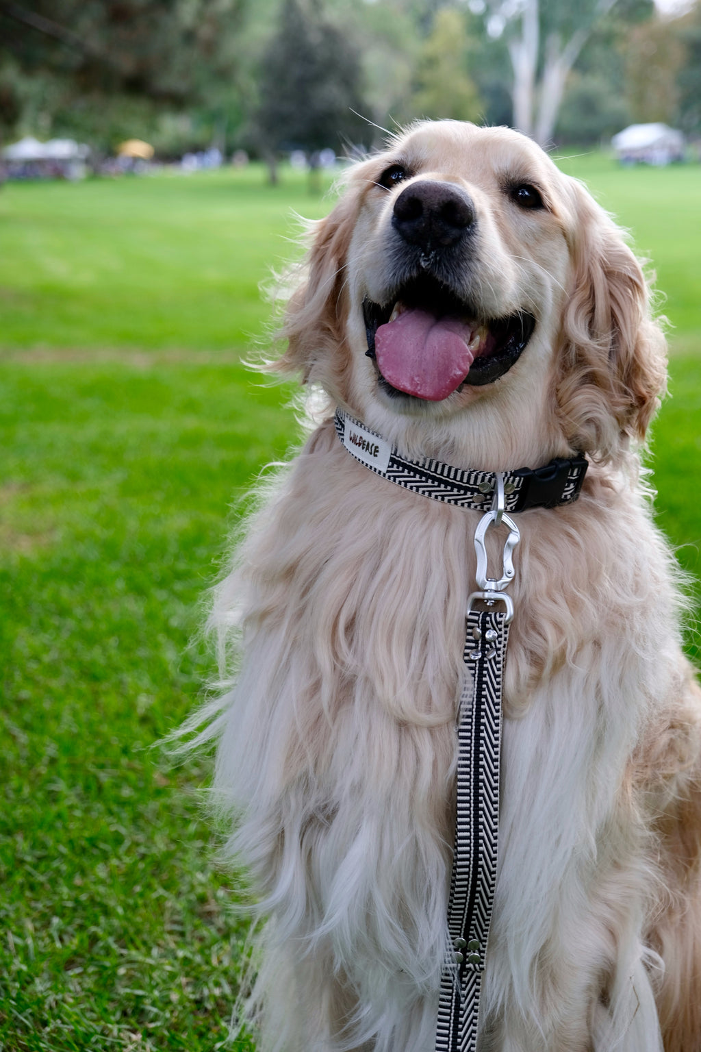 Basalt Cliff - Handmade Lightweight Dog Leash