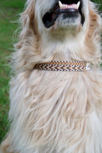 Canyon Glow - Handmade Lightweight Dog Collar