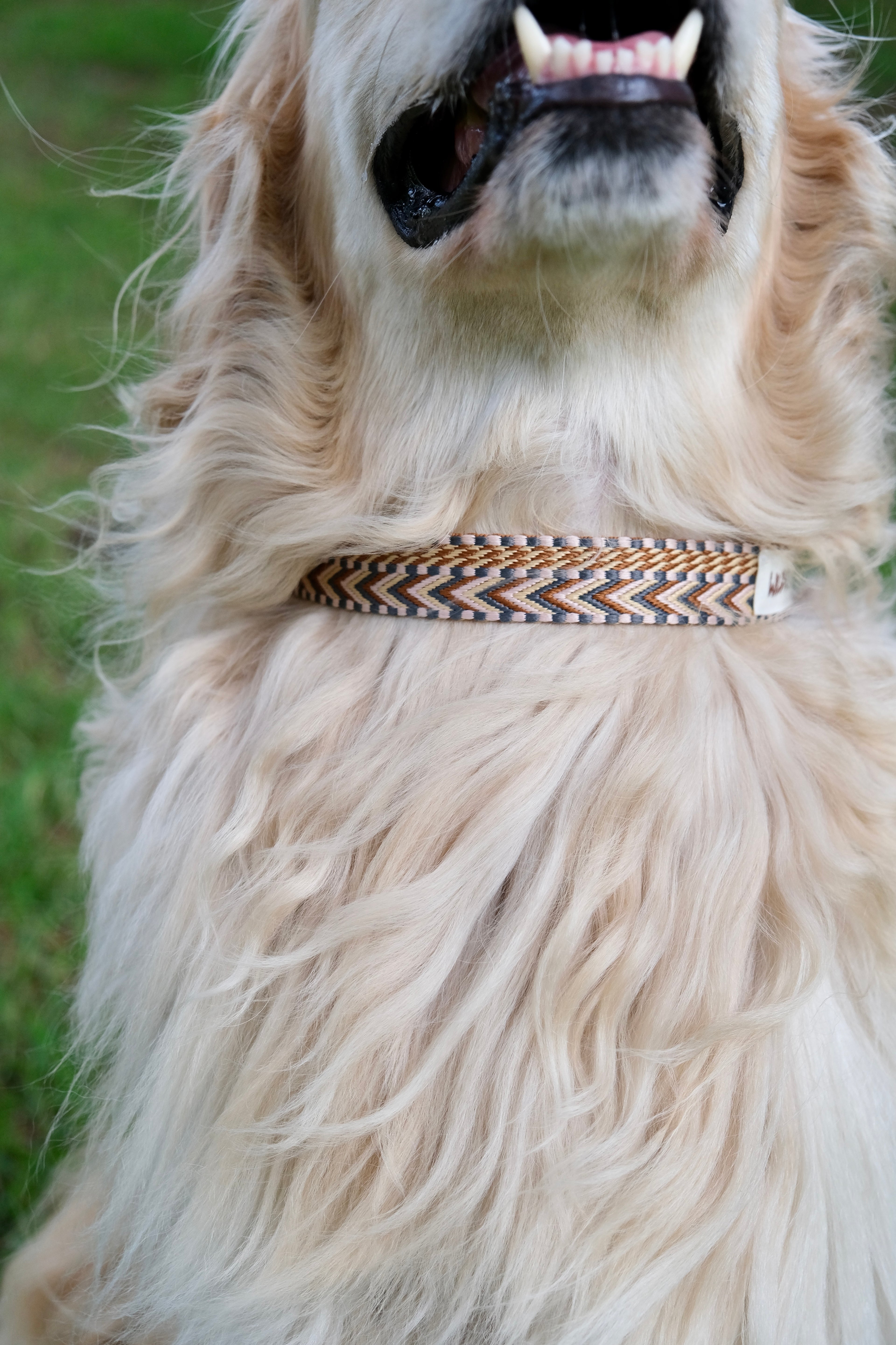 Canyon Glow - Handmade Lightweight Dog Collar
