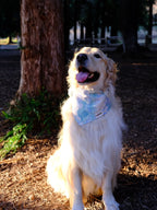 Cloud Lake - Cotton Dog Bandana