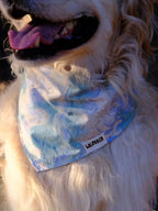Cloud Lake - Cotton Dog Bandana