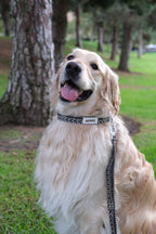 Stillstone - Handmade Lightweight Dog Leash