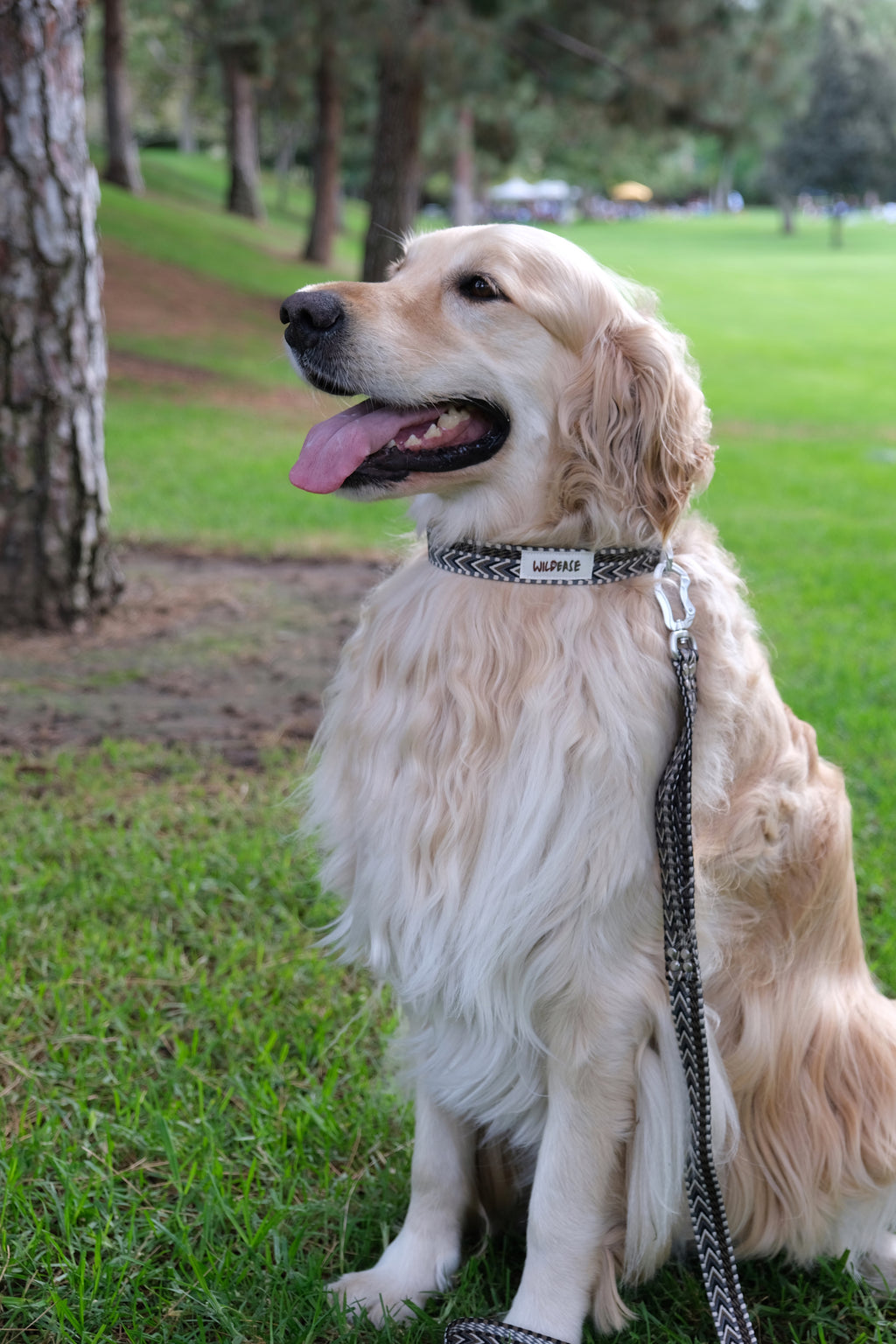 Stillstone - Handmade Lightweight Dog Leash