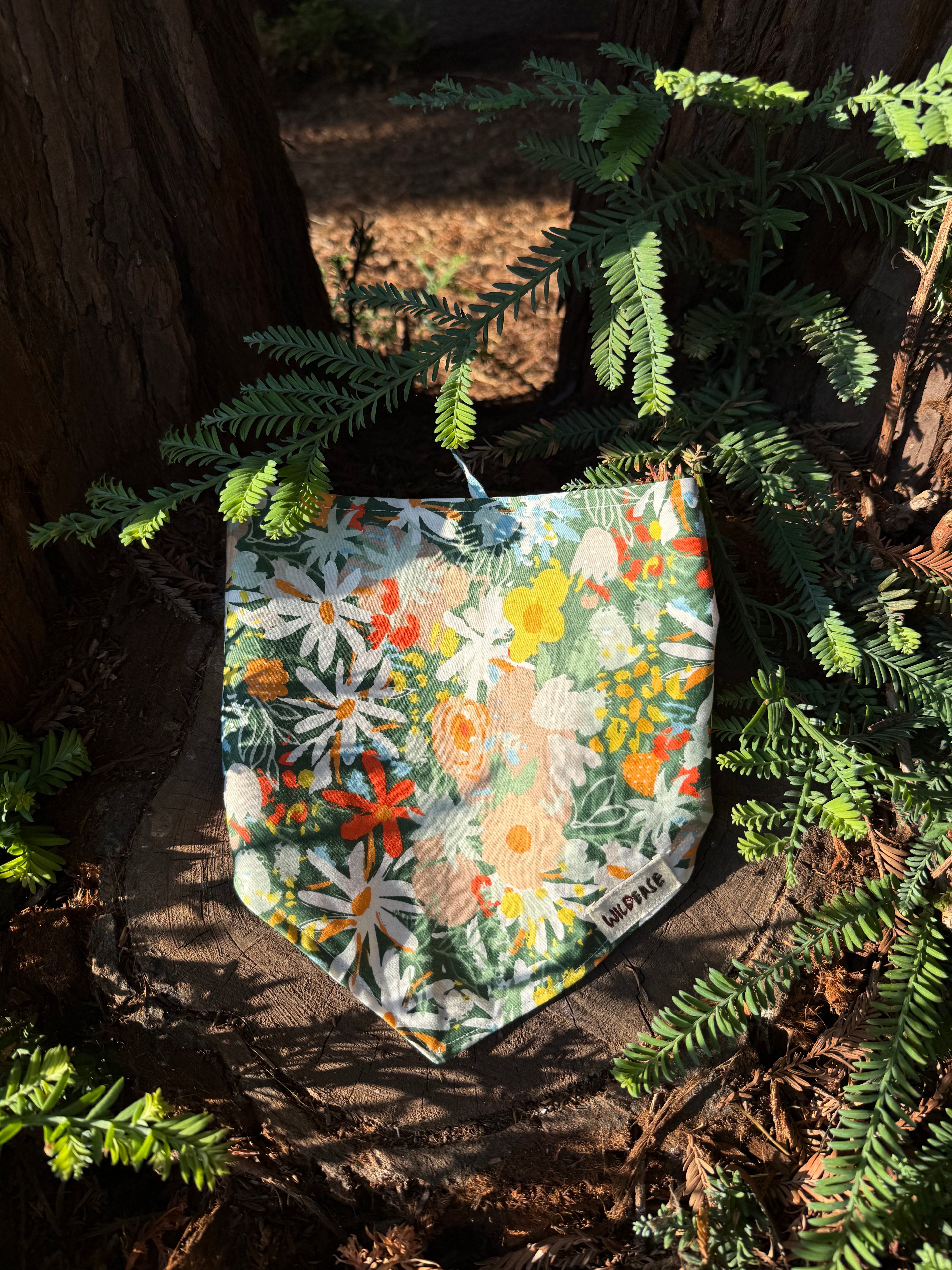 Tuscany Daisy - Cotton Dog Bandana