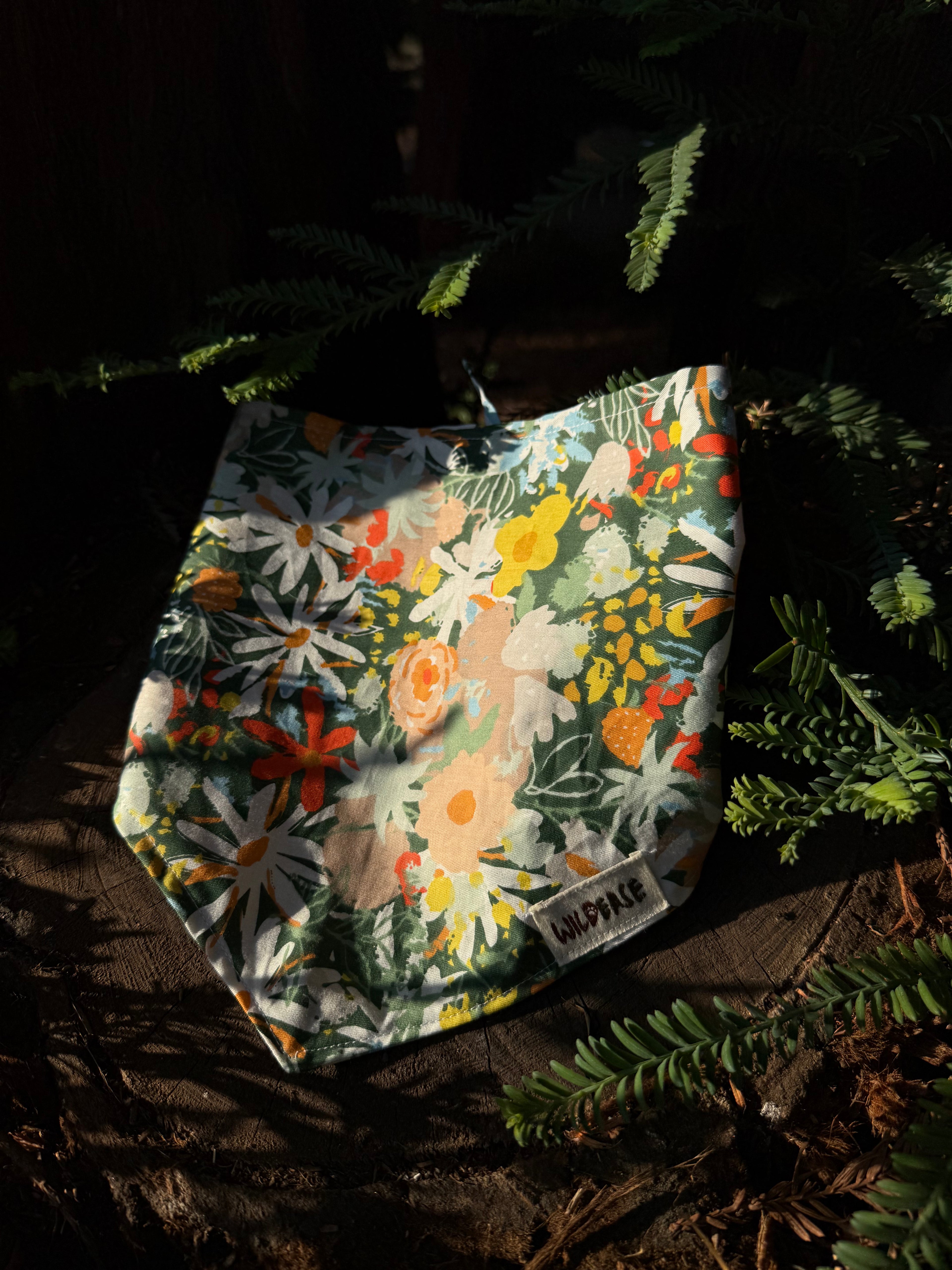 Tuscany Daisy - Cotton Dog Bandana