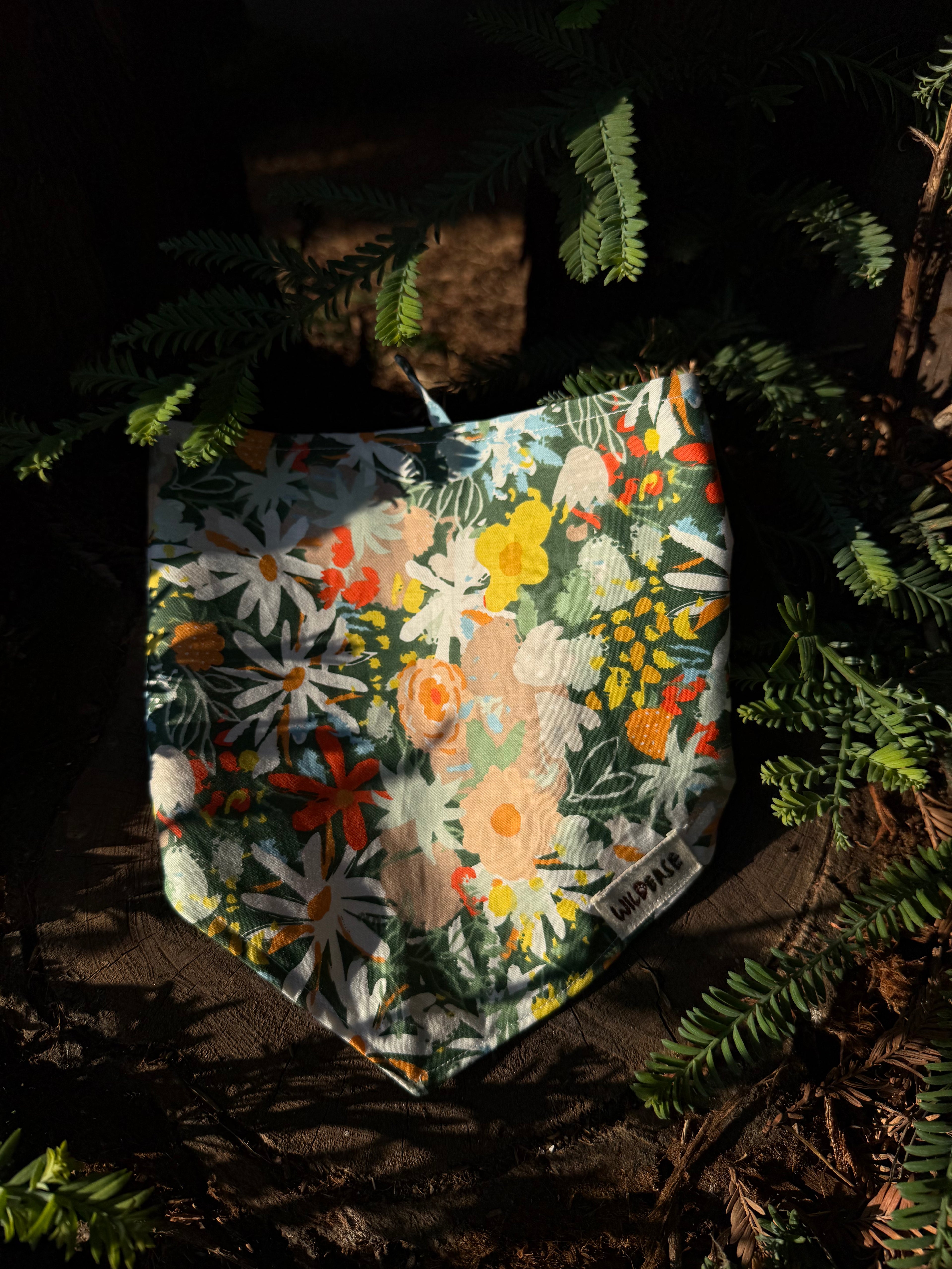 Tuscany Daisy - Cotton Dog Bandana