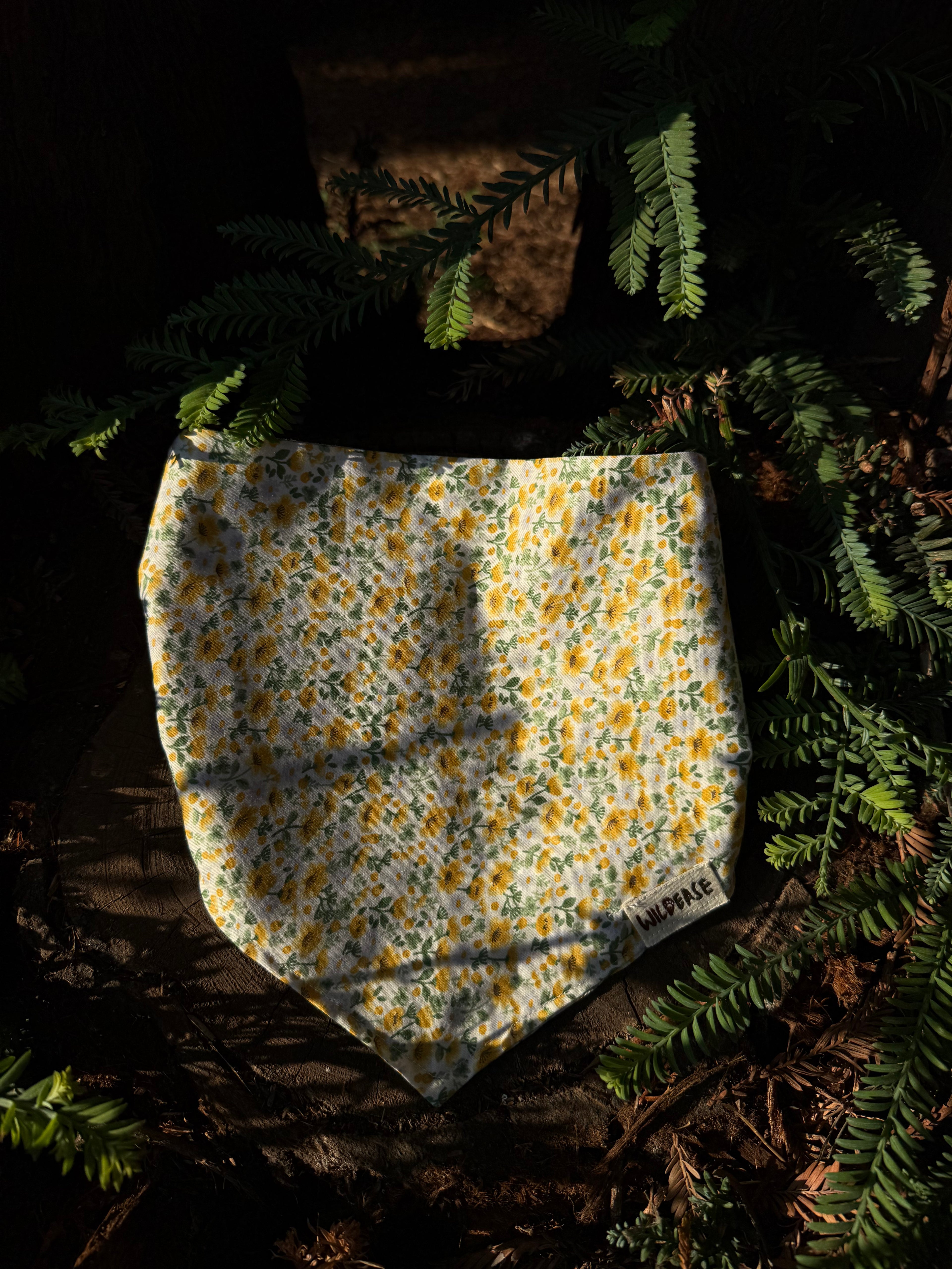 Sunflower Hill - Cotton Dog Bandana