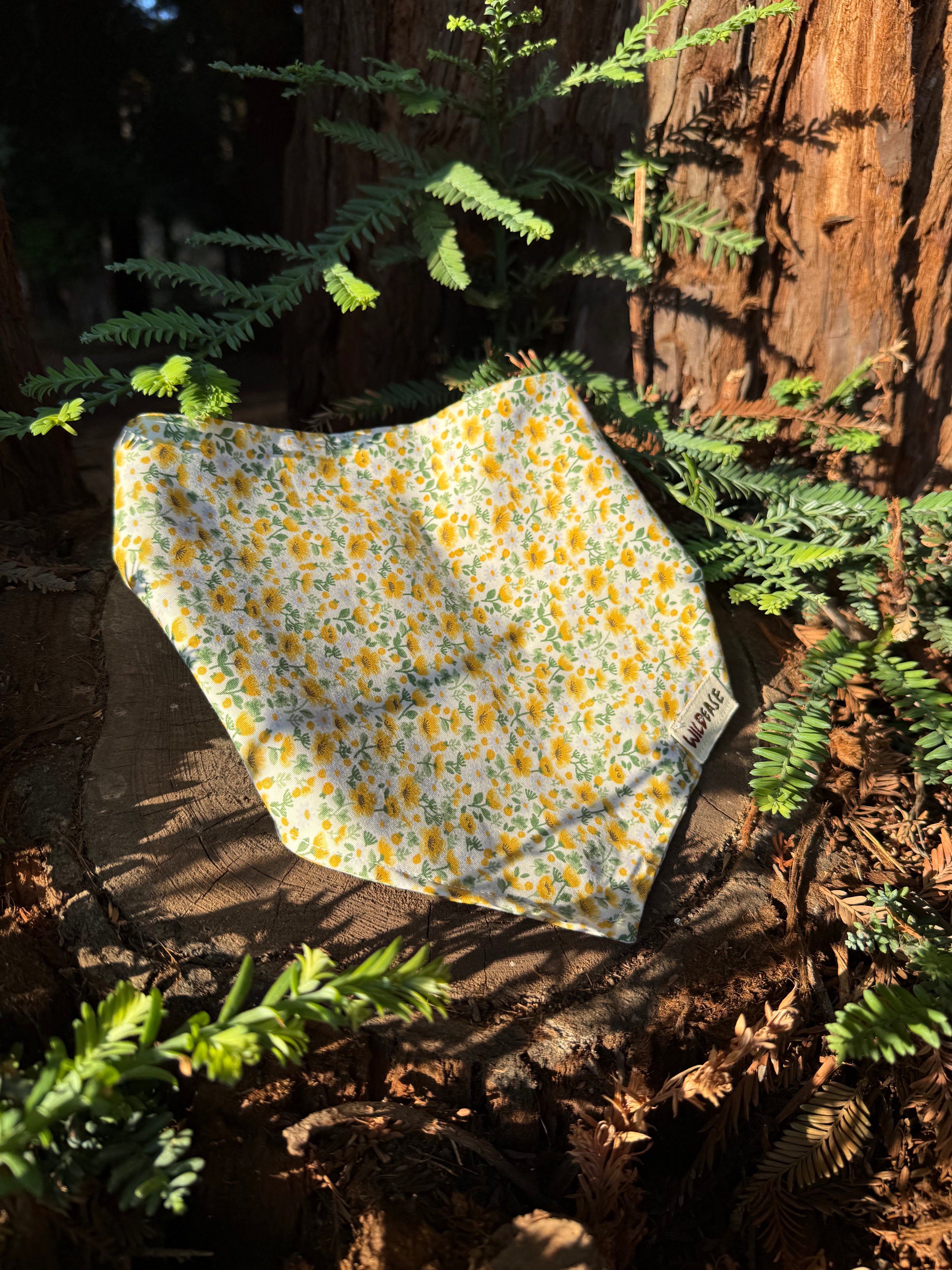 Sunflower Hill - Cotton Dog Bandana