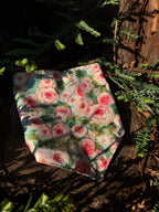 Blush Garden - Cotton Dog Bandana