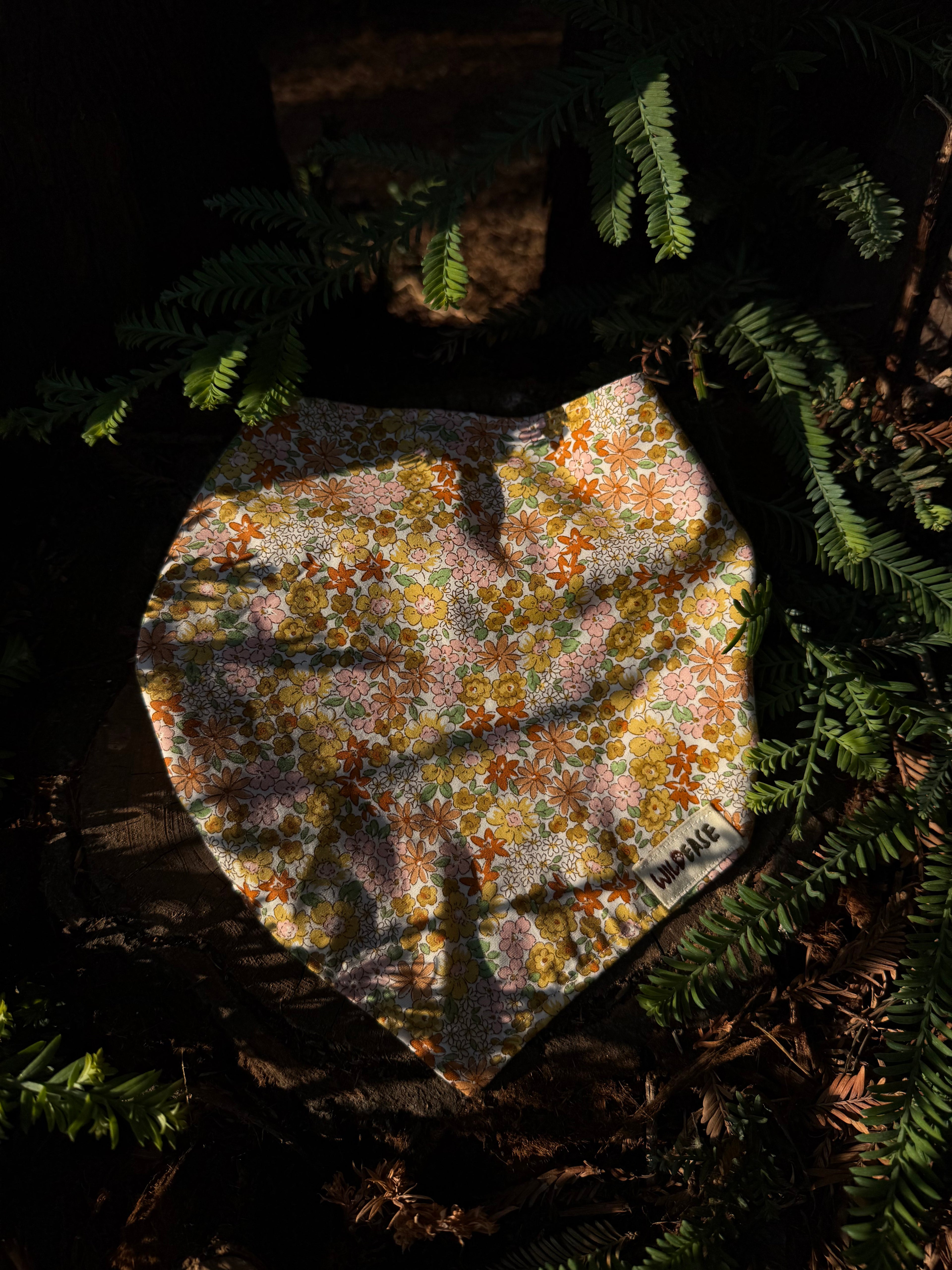 Golden Daisy - Cotton Dog Bandana