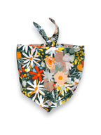 Tuscany Daisy - Cotton Dog Bandana