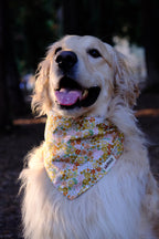 Golden Daisy - Cotton Dog Bandana