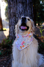 Watercolor Wildflower - Cotton Dog Bandana