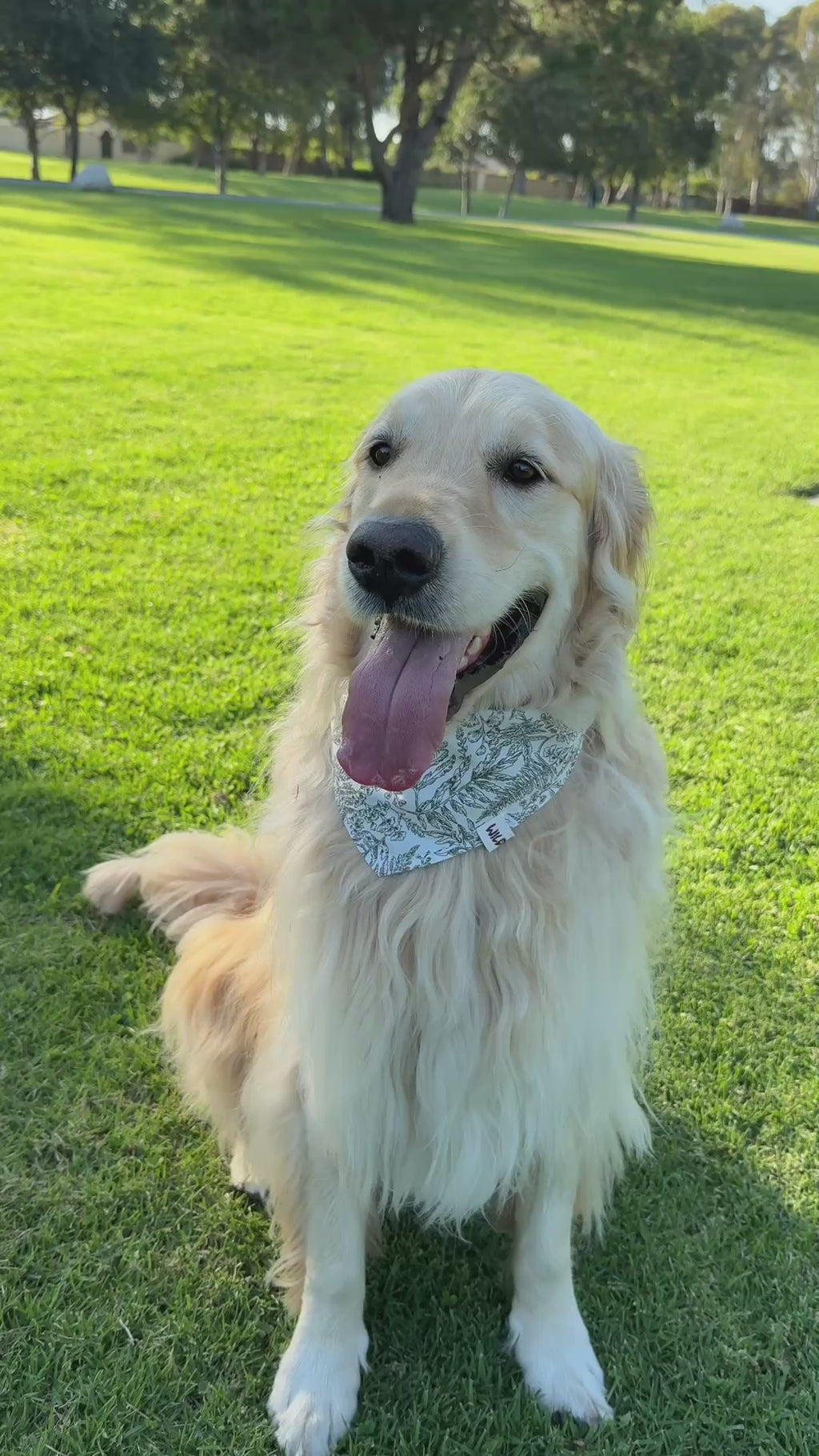 Olive & Coral - Reversible Cotton Dog Bandana